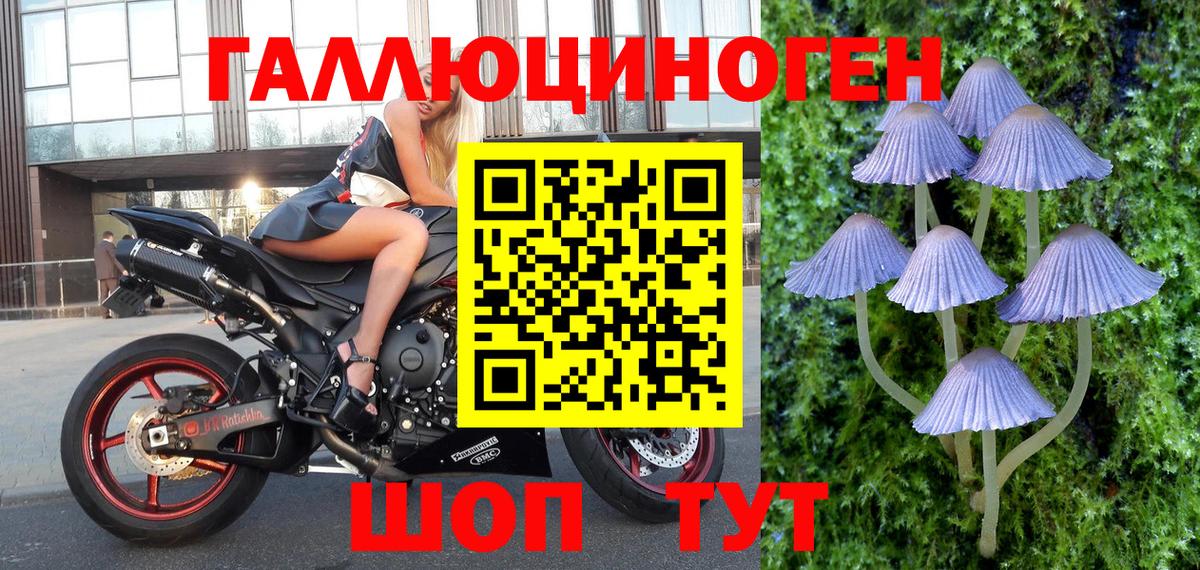 Псилоцибиновые грибы Cubensis  Вход с VPN  Домодедово 